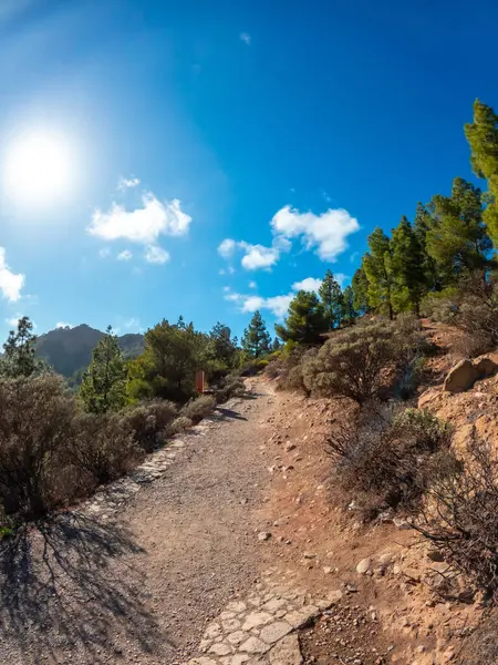 Trekking Trails Roque Nublo Gran Canaria Canary Islands Zdjęcie Stockowe