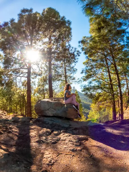Nainen Istuu Kivellä Metsän Keskellä Aurinko Paistaa Häneen Luoden Lämpimän tekijänoikeusvapaita valokuvia kuvapankista