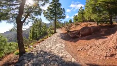 Gran Canaria, Kanarya Adaları 'nda Roque Nublo' yu takip ediyor.