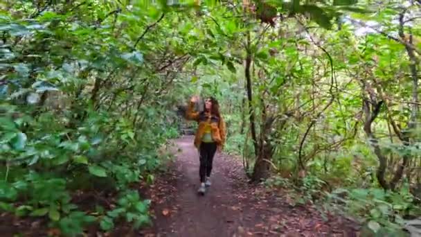 在大加那利亚Los Tilos Moya的Laurisilva森林的一条美丽的小径上行走的妇女 — 图库视频影像