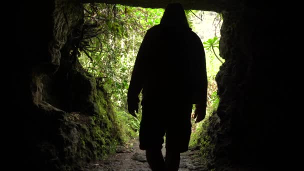 大加那利亚Los Tilos Moya的Laurisilva森林里的一个洞穴里的男人 — 图库视频影像