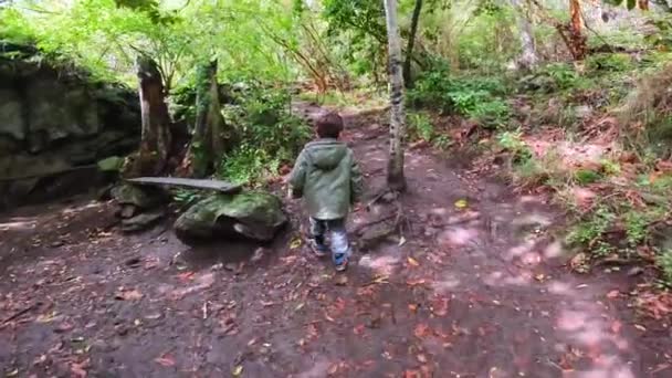 一个男孩在大加那利群岛Doramas的Los Tilos Moya的Laurisilva森林散步 — 图库视频影像
