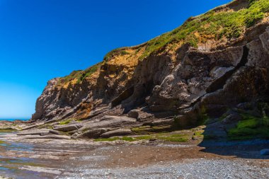 Cala Algorri, Zumaia, Gipuzkoa 'nın sineğinde kıyı manzaralı. Bask Ülkesi