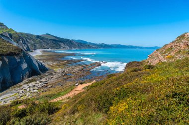 Zumaia, Gipuzkoa 'daki Flysch Basque Sahil Geopark' taki güzel Algorri Koyu.