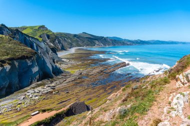 Zumaia 'nın kıyısındaki Algorri Koyu' ndaki deniz bitkisinin manzarası. İnsanlar olmadan, Gipuzkoa. Bask Ülkesi