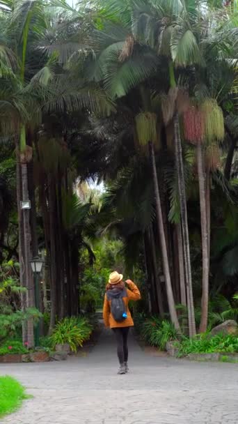 Туристична Жінка Йде Тропічному Ботанічному Саду Великими Пальмами Вздовж Доріжки Ліцензійні Стокові Відеоролики