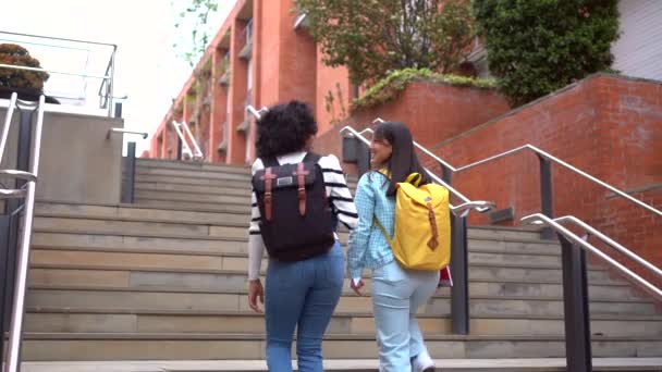 Πολυφυλετικοί Φοιτητές Που Περπατούν Κατά Μήκος Του Πανεπιστημίου — Αρχείο Βίντεο