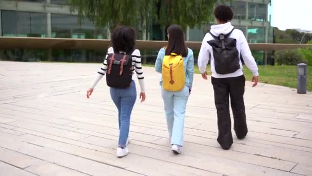 Full Length Video Copy Space Three Multi Ethnic Students Walking — Vídeos de Stock