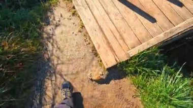 San Sebastian, Gipuzkoa, Bask Ülkesi 'nin yanındaki Jaizkibel Dağı' ndaki güzel koydan panoramik manzara
