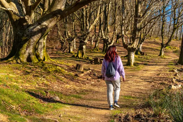 Sırtında sırt çantasıyla bir kadın ormanda yürüyor. Ağaçlar uzun ve yapraksız, sahneye kasvetli ve ürkütücü bir atmosfer katıyor.