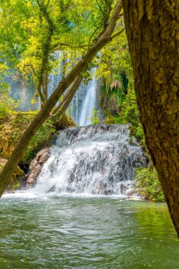 La Caprichosa Şelalesi 'ndeki güzel manzara Manastır de Piedra Doğal Parkı, Aragon, İspanya