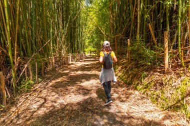 Bir kadın ormanda bir patikada yürüyor. Sarı bir gömlek ve sırt çantası giyiyor.