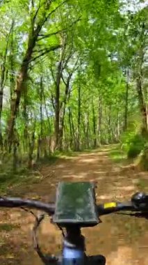 Bir bisiklet, gidona kamera monte edilmiş bir şekilde ormanda sürülüyor. Kamera sürücünün ormanda yaptığı yolculuğu kaydediyor.