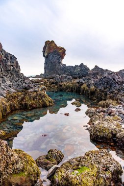 İzlanda 'da kışın Snaefellsnes yarımadasındaki Djupalonssandur plajında deniz kenarındaki şaşırtıcı kaya oluşumları.