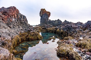 Picturesque rock formations by the sea at Djupalonssandur beach on the Snaefellsnes peninsula in winter in Iceland clipart