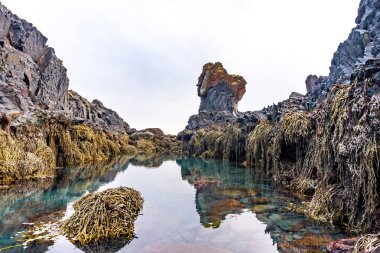 Kışın İzlanda 'da Snaefellsnes yarımadasındaki Djupalonssandur plajında deniz kenarındaki kaya oluşumları