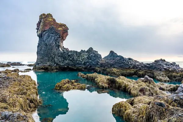 stock image Beautiful rock formations by the sea at Djupalonssandur beach on the Snaefellsnes peninsula in winter in Iceland