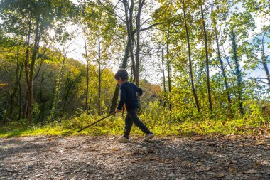 Genç bir çocuk elinde bir sopayla ormanda yürüyor. Çocuk doğayla iç içe olduğu ve ağaçlar sükunet hissi verdiği için manzara huzurlu ve huzurlu.