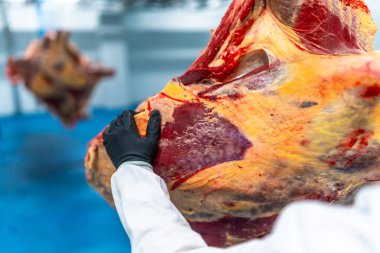 Et işleme fabrikasında çalışan bir işçinin yakın çekimi.