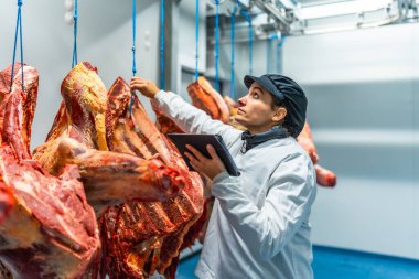 Et işleme fabrikasında çalışan bir kadın tablet bilgisayar kullanarak envanter çıkarıyor.