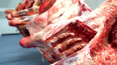 Kırmızı et, et işleme fabrikasının soğuk depolama odasında kuyrukta asılı duruyor.