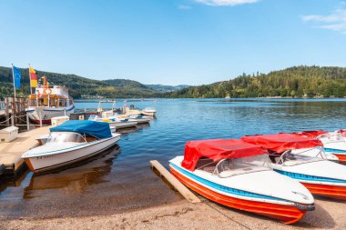 Yazın Almanya 'nın Kara Ormanı' ndaki Titisee Gölü 'nde rıhtım.