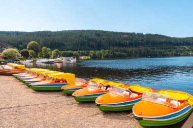 Yazın Almanya 'nın Kara Ormanı' ndaki Titisee Gölü 'nde rıhtım.