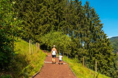 Doğanın ve duyuların tadını çıkarmak için, Almanya 'nın Kara Orman bölgesindeki bir duyusal parkta çıplak ayakla yürümek.