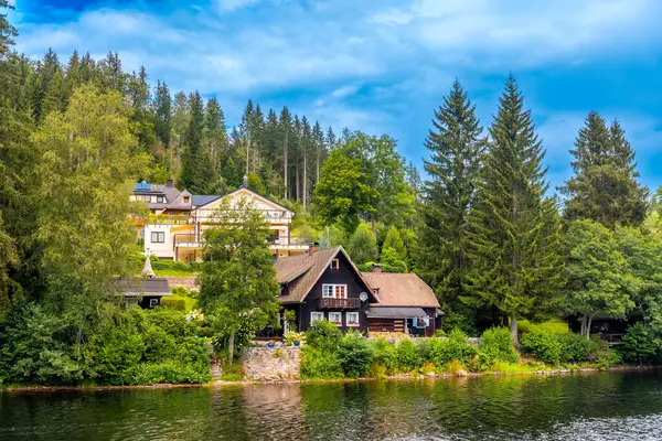 Almanya 'da Kara Orman' da Titisee Gölü 'nün kıyısındaki güzel evler.