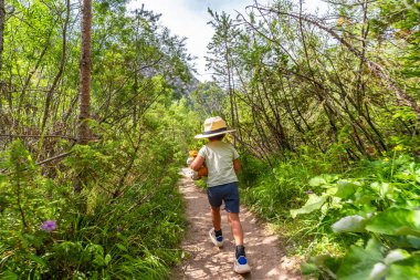 Young explorer walking on a path through vibrant vegetation, embracing the joy of nature during a sunny summer hike clipart