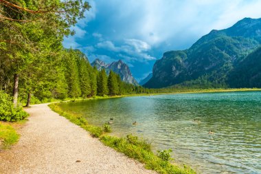 Dobbiaco Gölü 'nün berrak sularında yüzen ördekler, bereketli yeşillikler ve dolomitlerin görkemli zirveleriyle çevrili bir yaz gününde.