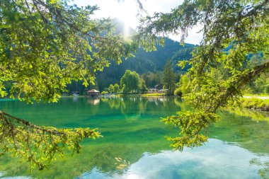 Çam dallarının arasından süzülen güneş ışığı, çarpıcı dolomitlerin arasında yer alan Dobbiaco Gölü 'nün berrak sularını aydınlatır.