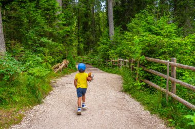 Genç çocuk yemyeşil bir ormanda yürüyüş yapıyor, pelüş oyuncağını tutuyor, doğanın güzelliğini keşfediyor.