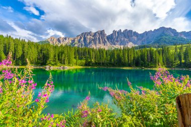 Güneşli bir yaz gününde, Carezza Gölü 'nün hava manzarası Dolomite Dağları' ndaki latemar Dağları 'nı yansıtıyor, Nova Levi, Güney Tyrol, İtalya