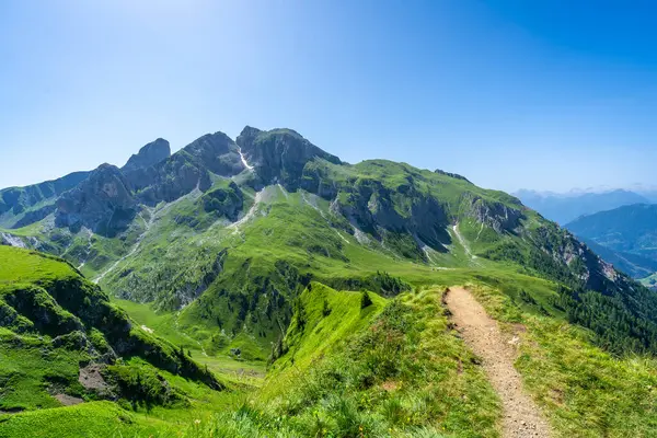 İtalyan dolomitlerindeki berrak mavi gökyüzünün altındaki canlı yeşil dağların arasından geçen yürüyüş yolunun manzarası.