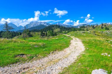 Logarska Dolina, Slovenia 'daki yemyeşil çayırlar boyunca kıvrılan bir yolun manzarası. Arka planda bir yaz günü Kamnik Savinja Alpleri var.