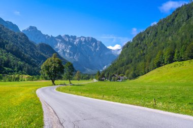 Etrafı yemyeşil çayırlar ve Slovenistan 'da yükselen dağlarla çevrili güzel logarska dolina vadisinde dolambaçlı bir yol.