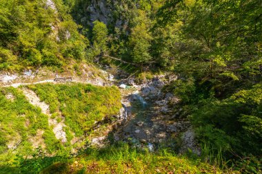 Tolmin Slovenia 'da, turistlerin tahta bir yaya geçidinde yürüdüğü, yazın kanyonun doğal güzelliğinin tadını çıkardığı bir vadi.