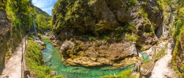 Triglav ulusal parkında, Slovanyada, tahta yaya köprüleri ve yosun tutmuş kayaların üzerinden akan kristal berrak zümrüt suları bulunan manzaralı Tolmin vadileri.