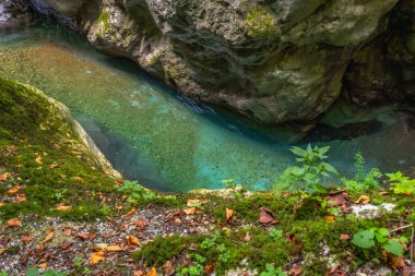 Turkuaz su dar Tolmin vadilerinden akar. Etrafı yosun kaplı kaya ve yapraklarla çevrilidir.