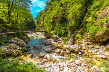 Nehir kıyısındaki yemyeşil bitki örtüsü ve ahşap bir köprü ile Slovenia 'daki Tolmin vadilerinden akan temiz su.