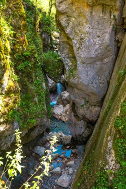 Turkuaz su Tolmin vadilerinden akıyor, yosunlu kaya duvarları olan manzaralı bir kanyon Triglav ulusal parkı, Slovana