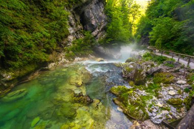 Vintgar vadisinden akan temiz su, Slovenia 'nın yakınlarında kanadı ve güzel bir doğal manzara yarattı.