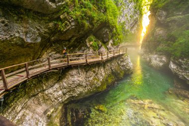 Vintgar Vadisi, Slovenia 'da tahta bir patika boyunca yürüyen kadın turist yaz gününde muhteşem Radovna nehrine hayran kalıyor.