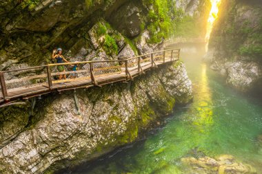 Turistler, vintgar vadisinin sarp kayalıklarıyla çevrili zümrüt radovna nehrinin üzerindeki ahşap patika boyunca manzaralı bir yürüyüş yapıyorlar.