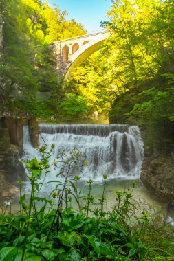 Bereketli bitki örtüsü, Vintgar Vadisi 'ndeki taş bir köprünün altında çağlayan bir şelale çerçevesi oluşturuyor. Kanaması olan Slovenia yakınlarında.