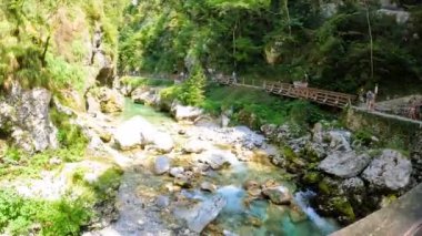 Güneşli bir yaz gününde, Tolmin Vadisi, Slovenia 'da, ahşap bir köprünün altından akan temiz su.