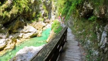 Güneşli bir yaz gününde, berrak bir su deresinin yanında, Slovenia 'daki tolmin geçitlerinden geçen tahta korkuluklu ahşap yol.