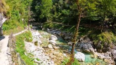 Triglav Ulusal Parkı 'ndaki Tolmin geçidinde, bereketli bitki örtüsüyle çevrili dar bir kanyondan akan turkuaz sular yer almaktadır.