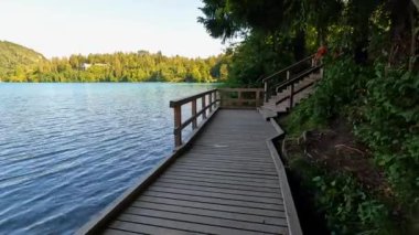 Sersemletici turkuaz su ve yemyeşil yemyeşil göl kıyısında buluşuyor. Kanaması olan bir buzul gölü, Slovakya 'nın Julian Alpleri' ne yerleşmiş.
